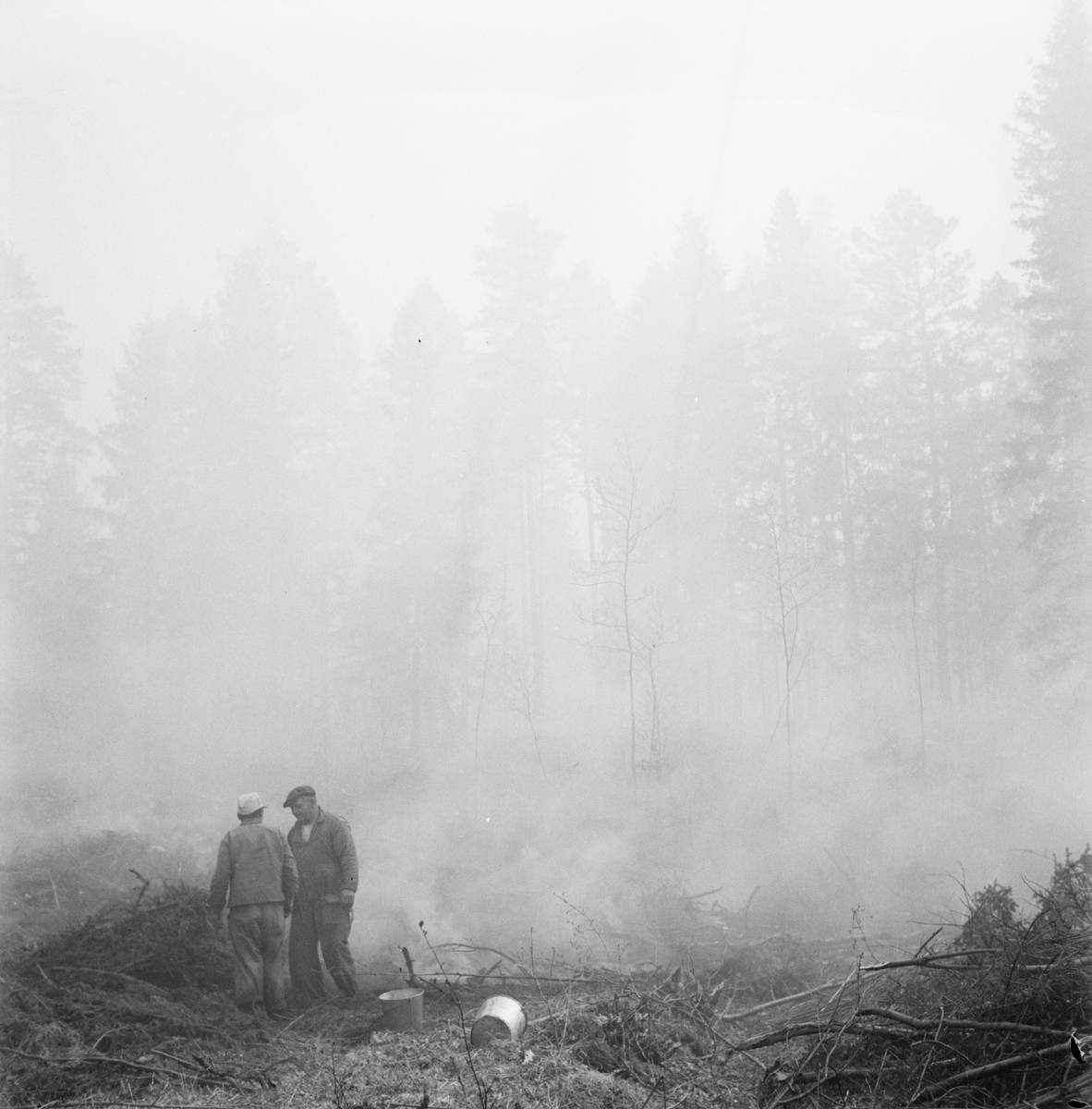 Skogsbrand, Björklinge, Björklinge socken, Uppland 1949