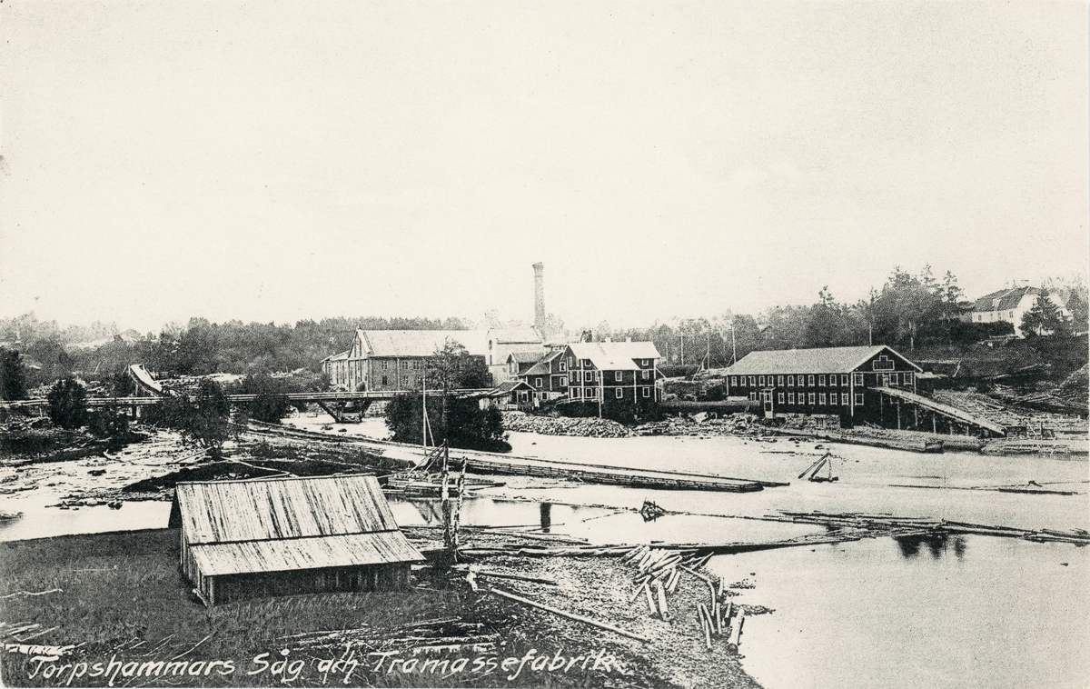 Torpshammars sågverk och trämassefabrik. Vykort