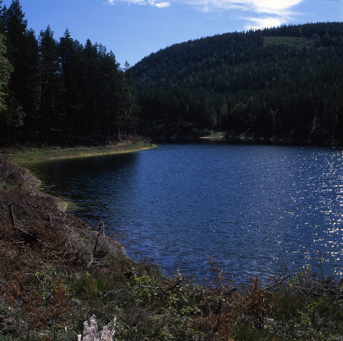 Gröntjärn, källsjö och naturreservat, som detta år haft ett rekordhögt vattenstånd, 22 augusti 2001.