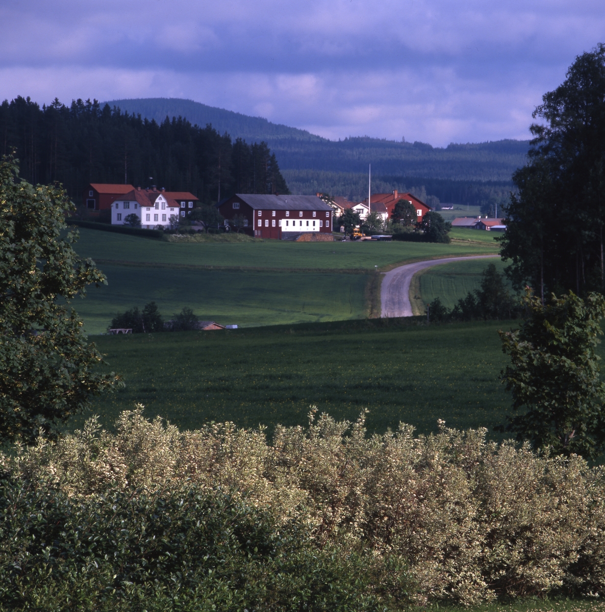 Utsikt mot vackert sommarlandskap med gården Jonpers  i Utby, Rengsjö.