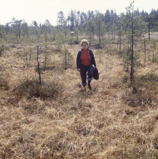 Adéle vandrar bland småtallar på Degelmyren i Rengsjö 18 maj 1981.