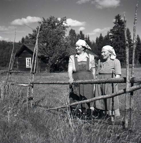 "Stintor" från Västansjövallen i Gnarp 7 augusti 1952.