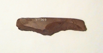 Tjocknackig yxa, fragment av. Yxan har kluvits på längden.