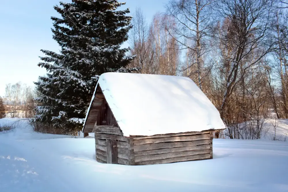 Et bilde av grøneriet dekket av snø