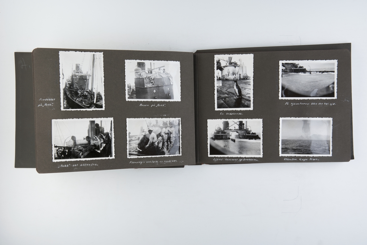Fotoalbum med 25 fotografier fra hvalfangst og partering av hval. Fotografert i 1933-34 ombord i Fl/K Vestfold.