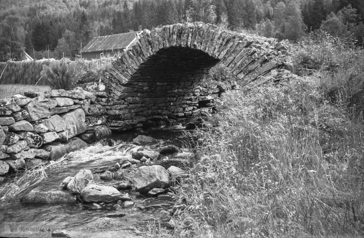 "Tur Ørsta-Volda juli 1957"