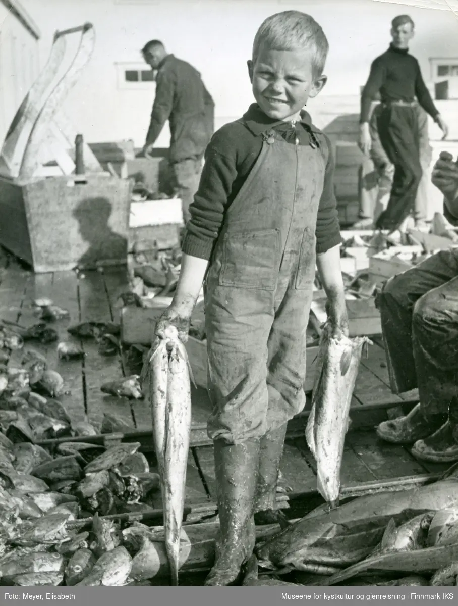 Honningsvåg. Gutten Arnulf Andersen under seiarbeid på kaia. Mannen i bakgrunnen t.h. er Harry Thorleif Hansen. 1940.