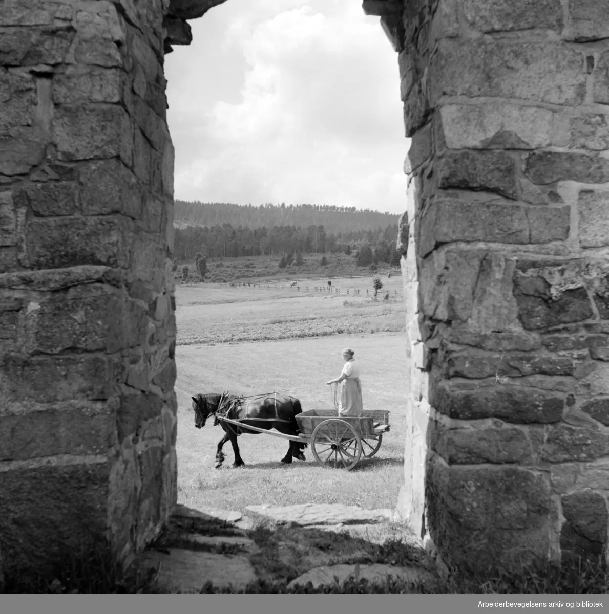 Maridalen: Ved Margaretakirkens ruiner. Juni 1958