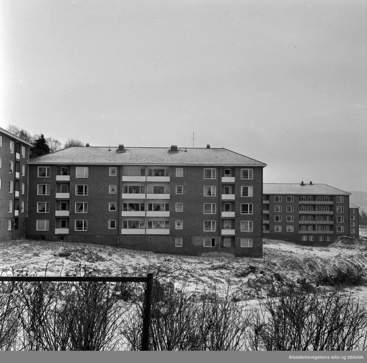 Lunden. Nye hus ved Lunden. Februar 1964