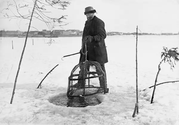 Isfiske med mortteine i Mjøsa utenfor Hamar by tidlig på 1900-tallet.  Fotografiet viser en vinterkledd mann ved et rundt hull i isen.  I den ene handa holdt han et tau som var festet i toppen av ei kuppelformet nettingteine med et spileskjelett av kvister.  Teina - eller "kupa" som man sa på Hedmarken - skulle senkes ned mot botnen, slik den her sto på isen.  Den traktformete fangstinngangen befant seg nemlig på undersida.  Når fiskerne strødde næring til fisken der vi teina sto svømte fisken innunder, og når den svømte derfra igjen satte noen individer kursen oppover og ble dermed fanget.  I den andre handa holdt fiskeren ei stang med en endekrok, en slags klepp, som sannsynligvis ble bruk under heving og senking av teina.  Området rundt hullet der den skulle stå var markert med oppstikkende pinner, noe som skulle gjøre det mulig å finne igjen stedet om det frøs is på hullet og kom snø på isen.  I bakgrunnen skimter vi noe av bebyggelsen i Hamar by.

Hartvig Huitdtfeldt-Kaas (1867-1941) forteller at vinterfisket etter mort med den avbildete typen kuper (teiner) først og fremst ble drevet for å skaffe agnfisk til støkrokfiske etter andre arter som ble ansett for å være bedre matfisk: 

«Foruten til menneskeføde og som hønsefôr anvendes morten ogsaa som agnfisk paa rever til fangst av ørret, lake og i sær gjedde ved fangst av den sidste under «støkrokfisket» på isen om vinteren.  Til dette bruk egner den smaa mort sig særdeles vel.  Under fangst av smaamort om vinteren naar isen ligger anvendes af enkelte fiskere en egen slags smaa halvkuleformede garnruser med aapningen vendt mot bunden, ind i hvilke morten lokkes ved utstrødde byggryn.»

Sitatet er fra boka «Mjøsens fisker og fiskerier» (1917), side 193.