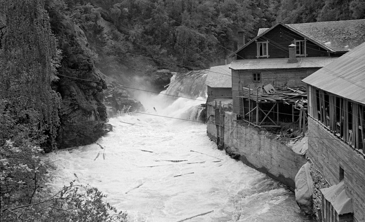 Sag- og møllebruket ved Vinsterfossen i Loholet, i elva Vinstra i Nord-Fron kommune i Oppland fylke. Fotografiet er tatt fra brua nedenfor den nevnte fossen. Loholet er navnet på et trangt gjel der elva renner mellom steile bergskrenter. I dette gjelet ble det i sin tid bygd en dam av tømmer og stedlige stein- og grusmasser, noe som skapte et fall på ni meter. Dette fallet gav energi til de tekniske installasjonene nedenfor fossen. Her lå Vinstra bruk, med både møllebygning og sagbruk.  Da dette fotografiet ble tatt, våren 1950, var det flom i Vinstra, og elva gikk stor over dammen med løstømmer fra skogene ovenfor.

Opprinnelig var det brukerne på gardene Øvre Bryn (på sørsida) og Lo (på nordsida) som disponerte fallrettighetene i Lofossen.  Dette representerte en betydelig verdi, for elva hadde stabil vannføring, slik at fossen kunne gi kraft til oppgangssager og kverner.  Stedet lå dessuten sentralt til, ved ei bru på bygdevegen på vestsida av Gudbrandsdalslågen (Baksida).  I 1870 lot Lodver Lo eiendomsspekulanten Peder Carlsen Foss (Fossgarden) leie fallrettighetene ved Loholet og en tilstøtende skogteig med sikte på å bygge sag- eller møllebruk.  Planen ble realisert, men Peder Carlsen gikk konkurs, og både skogeiendommene i Midtdalen og sagbruket ved Vinstrafossen ble solgt på auksjon i 1890-91.  Sagbruket var det tilsynelatende en advokat som kjøpte på vegne av Gjøvik Dampsag & Høvleri som kjøpte, men de overlot kjøpet til to lokale karer, Ole Simensen Kongsli og Johan Olsen Tårud.  Disse dannet et driftsselskap for «Vinstra bruk», der også Ole J. Teige var med som kompanjong.  I 1910, etter at Sigurd Kongsli hadde overtatt farens rettigheter i bruket, ble det installert en liten elektrisk generator i en av turbinene på bruket, den første i sitt slag i Nord-Fron kommune.  Elektrisk lys var attraktivt, og i 1914 kjøpte Sigurd Kongsli en større turbin med større generator.  Dermed kunne Vinstra Bruk også begynne å selge overskuddskraft til sambygdingene, etter hvert gjennom selskapet Nordre Frons Elektricitetsverk.  I 1919 inngikk Sigurd Kongsli avtale om å utvide kraftproduksjonen med nok et anlegg ved Vinstradammen.  Dette anlegget ble satt i drift i 1922.  Året før hadde det kommunale kraftselskapet også satt i drift en kraftstasjon ved Kamsfossen, i Skåbu, høyere oppe i Vinstravassdraget.  Seinere er det der videreutviklinga av kraftproduksjonen i kommunen har skjedd.  Familien Kongsli har drevet møllebruket videre, etter 2. verdenskrig primært med produksjon av kraftfôr til husdyrbruket med korn fra Sør-Fron, Nord-Fron og Sel som råstoffbase.