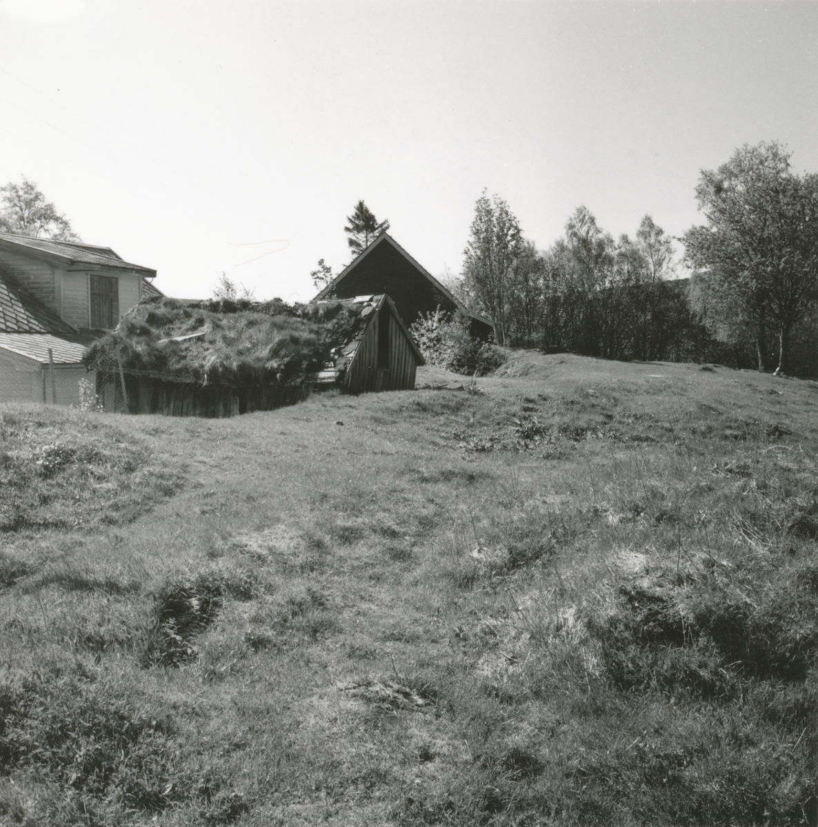 Prospektfotografi av den gamle tunplassen på Nedregotten, Emblem, der klyngetunet på Nedregotten låg. Etter utskiftinga i 1857 vart dette tunplassen for Steffagaren.
