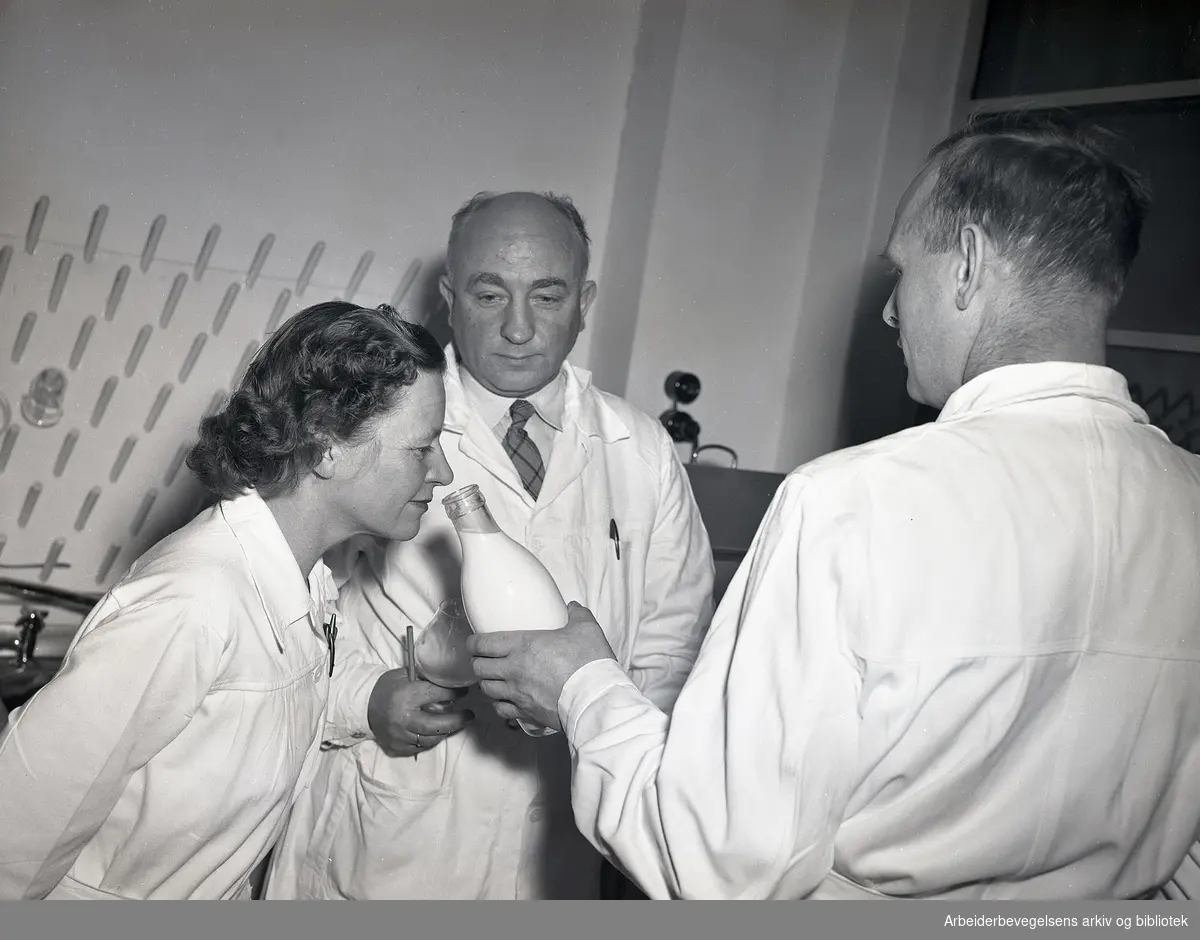 Lukt og smaksprøver på laboratoriet hos Fellesmeieriet, 12. januar 1957.