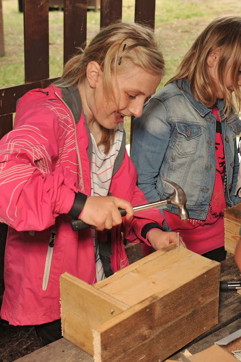 Bilde av skoleelever som snekrer fuglekasser under arrangementet «Skog og Vann 2011» på Norsk Skogmuseum. Hovedmotivet er ei jente i ferd med å slå spiker med en hammer for å feste bunnen i fuglekassa.