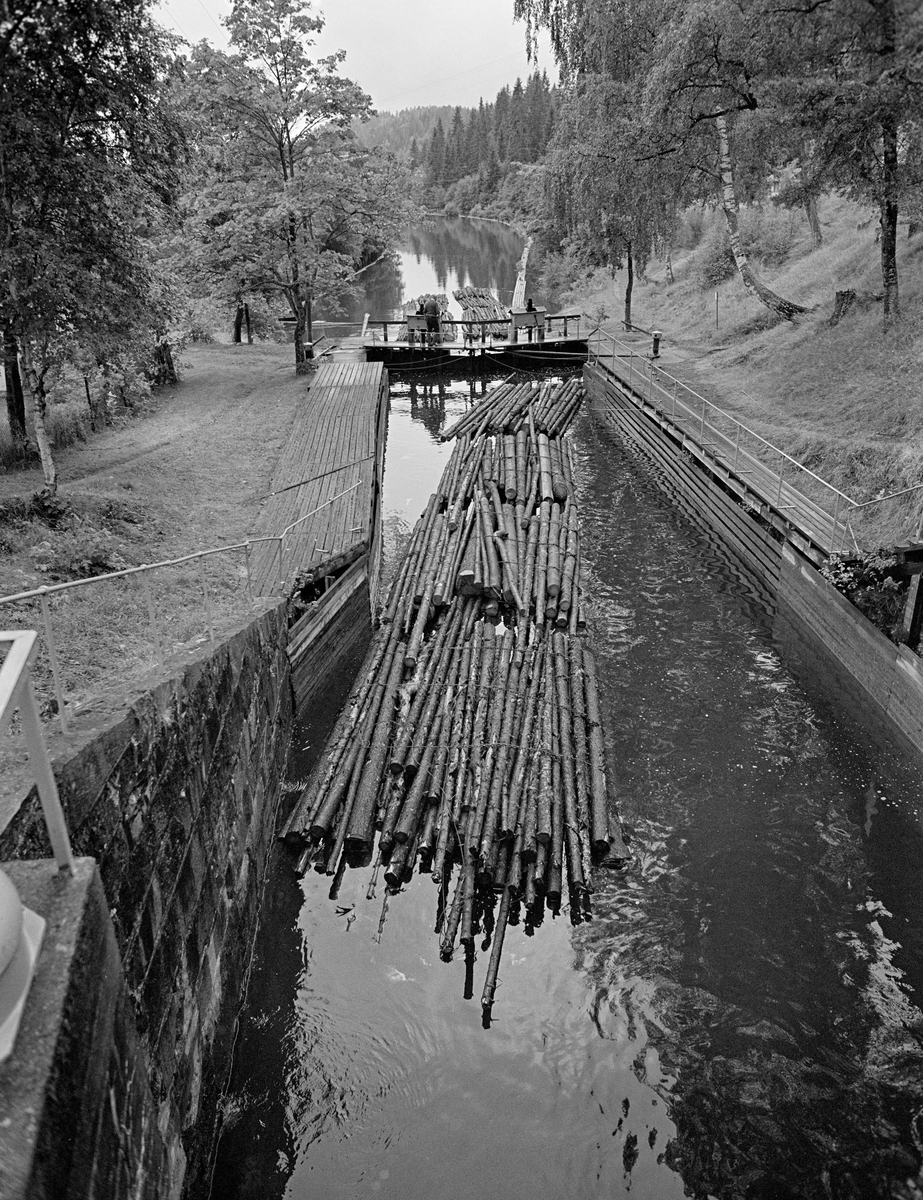 Slusing av tømmer ved Ørje i Marker kommune i Østfold.  Dette fotografiet ble tatt i 1982, som var den siste sesongen med tømmerfløting i Haldenvassdraget.  De siste tre åra ble det utelukkende fløtet ubarket massevirke i tre meters lengder.  Tømmeret ble utislått i bunter ved Skulerud i Høland.  Derfra ble det først fløtet i store slep til Ørje ved sørenden av Rødenessjøen.  Der måtte slepene deles opp i lenker som var tilpasset lengden på de tre slusekamrene.  Med det nevnte virkessortimentet gikk det fire bunter i hver slusevending.  Dette fotografiet viser ei slik slusevending i et fullt slusekammer, foran nederste sluseport.  Bak og nedenfor porten skimter vi vannspeilet på Ørjeelva, der allerede nedsluset tømmer lå fortøyd i påvente av sammenlenking med blant annet den slusevendinga vi ser i forgrunnen på dette fotografiet.  Høydeforskjellen mellom Rødenessjøen på oversida av sluseanlegget og Ørjeelva nedenfor er cirka 10 meter.

En liten historikk om tømmerfløting og kanaliseringsarbeid i Haldenvassdraget finnes under fanen «Opplysninger».