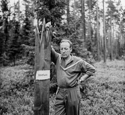 Arkeologen Arne Skjølsvold (1925-2007), fotografert ved ei r