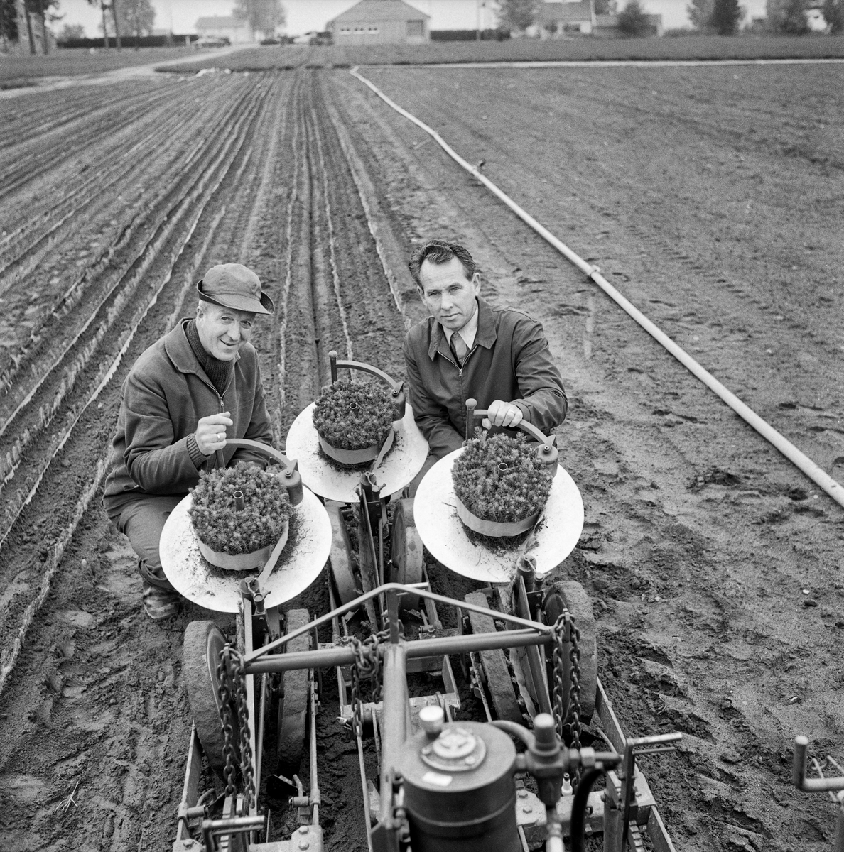 Plantemaskin for omplanting av såkalte prikleplanter ved Furusmo planeskole ved Gardermoen i Ullensaker kommune i Akershus.  Fotografiet viser to men som poserer bak maskinens tre plantebeholdere.  Mannen til høyre er daværende planteskolebestyrer på Furusmo, Odd Markhus (1925-1996).  I den tida da dette fotografiet leverte norske skogplanteskoler overveiende barrotplanter som hadde gjennomgått en todelt produksjonsprosedyre før de var salgsklare.  Først ble frøet sådd i såkalte «såsenger».  Der spirte plantene vanligvis svært tett.  Etter to sesonger ble de derfor løsnet og ompriklet – plantet på nytt på et annet areal, der de vanligvis ble stående i en til tre sesonger før de var robuste nok for salg.  Opptak og omplanting var arbeidskrevende prosesser, som helst skulle fullføres i løpet av en kort periode i før sommervarmen kom.  I 1960- og 70-åra ble det stadig vanskeligere for planteskolene å mobilisere arbeidskraft i slike korte sesonger.  Det var god tilgang på skoleungdom midtsommers, men vanskeligere å finne ledige hender til de arbeidene som måtte gjøres før eller etter skoleferien.  Ved Furusmo tilbød man, med vekslende hell, soldater som var forlagt på Gardermoen kveldsarbeid.  «Økt mekanisering vil stadig være aktuelt, da mangelen på arbeidskraft blir mer og mer følbar, især tidlig på våren og seint på høsten», rapporterte planteskolebestyreren i 1968.  Samme år investerte Furusmo planteskole i en vibrerende planteløfter (for planteopptak) og denne prikleplantemaskinen, som var bygd ved Landbruksteknisk Institutt på Ås.  De første forsøkene med maskinen fikk et «ganske bra» utfall.  I 1969 ble 200 000 planter ompriklet med dette utstyret, en forholdsvis liten andel av den totale mengden priklepanter på om lag 3 millioner.  De maskinpriklete plantene greide seg imidlertid såpass bra, at man var innstilt på å øke bruken av maskinen.  Følgelig ble den brukt på 300 000 planter i 1970 og 500 000 planter i 1971, etter at Landbruksteknisk institutt hadde forbedret den noe.  Etter dette heter det at planteresultatene var meget tilfredsstillende, noe som antakelig var noe av bakgrunnen for at man inviterte cirka 30 norske planteskolefolk for å se maskinen i drift.  Dette fotografiet er fra denne demonstrasjonen.