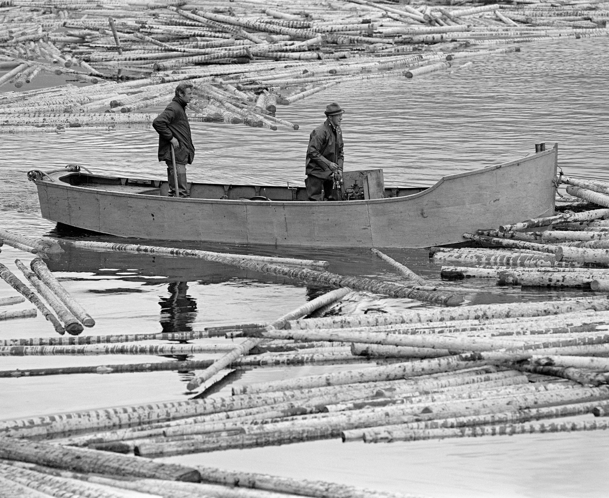 Fra tømmerfløtinga på Lomnessjøen i Rendalen i 1981.  Fotografiet er tatt i sørenden av innsjøen, ved Kvernnesodden, der ringbommene som var slept nordfra ble åpnet med sikte på at stokkene skulle flyte fritt gjennom Løvfjorden og Åkrestrømmen mot neste innsjø, Storsjøen.  På dette tidspunktet ble tømmeret stort sett kjørt med lastebiler til terminalplasser ved hovedvassdragene.  På enkelte av disse plassene ble tømmeret barket maskinelt, noe stokkene på dette fotografiet bærer tydelig preg av.  Slepinga av tømmerbommene på Lomnessjøen ble utført med åpne varpebåter av stål.  Disse farkostene hadde innvendig motor og vinsj.  Da dette fotografiet ble tatt var det Edgar Hole og Kåre Hansen som arbeidet om bord i varpebåten.