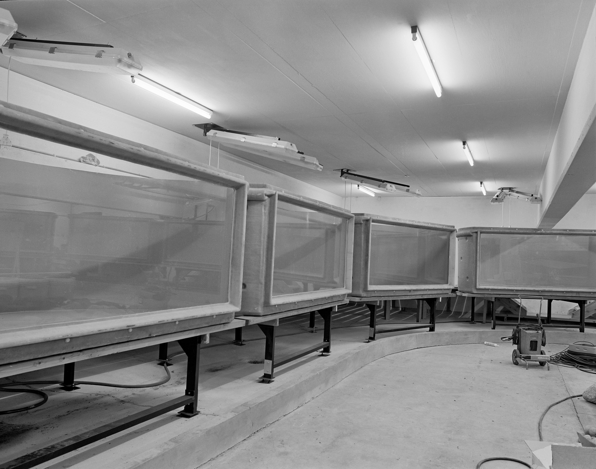 Fra bygginga av akvariet «Fra fjell til fjære» ved Norsk Skogbruksmuseum i Elverum i 1979.  Akvariet ble bygd i museets underetasje, der ovenforliggende betongkonstruksjoner bæres av langsgående dragerrekker som, med 5 meters mellomrom, stikker 75 centimeter ned i rommet, og som i sin tur bæres av betongsøyler med 10 meters senteravstand.  Her ble det plassert 10 akvariekar av glassfiber med vinduer mot publikumsrommet.  9 av de 10 karene var av den typen vi ser på bildet, med cirka 2 meter brede og 80 centimeter høye vinduer i front.  Karene var halvsirkelformete og stakk om lag 1,5 meter inn i bakenforliggende areal.  De ble plassert på jernstativer, med botnflata om lag 70 centimeter over betonggolvet.  Karene vi ser på bildet skulle romme 2 300 liter vann og vise fiskelivet i ulike biotoper.  De ble, etter at dette bildet var tatt, bygd inn i en trevegg.  Også himlinga ble senket og kledd med trepanel.  Akvariet ble offisielt åpnet for publikum i forbindelse et representantskapsmøte 22. juni 1979, som også markerte Norsk Skogbruksmuseums 25-årsjubileum.
