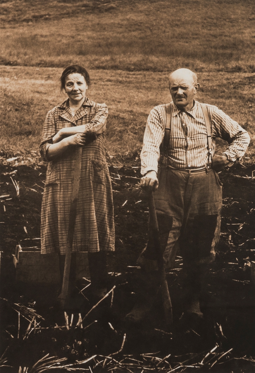 Jenny og Magnus tek opp poteter. Jenny og Magnus Matland på Vilnes i Askvoll [Fotografi]