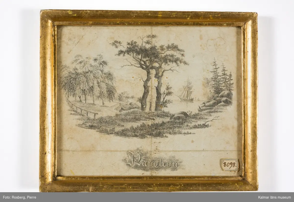 Ett landskap med ett åldrat träd i mitten av motivet, i trädstammen är en figur tecknad, Napoleon. I bakgrunden till höger hav med segelfartyg.