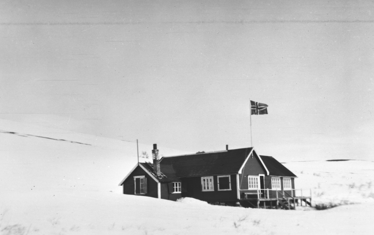 Vinikka skihytte i 1951.