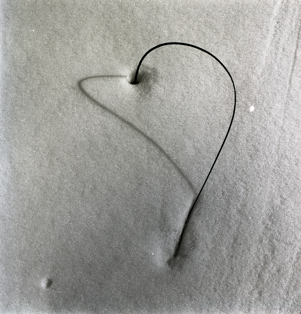 Ett grässtrå sticker upp ur snön och kastar en skugga som bildar ett hjärta intill Stråsjön, 7 april 1979.