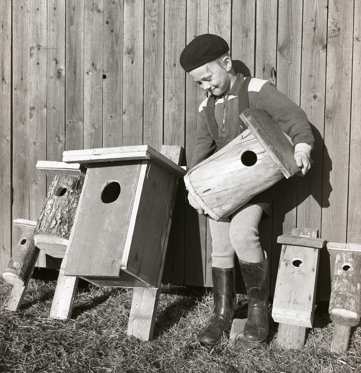 En pojke står lutad mot en husvägg bland fågelholkar i olika storlekar. Pojken håller upp en fågelholk, 1952.