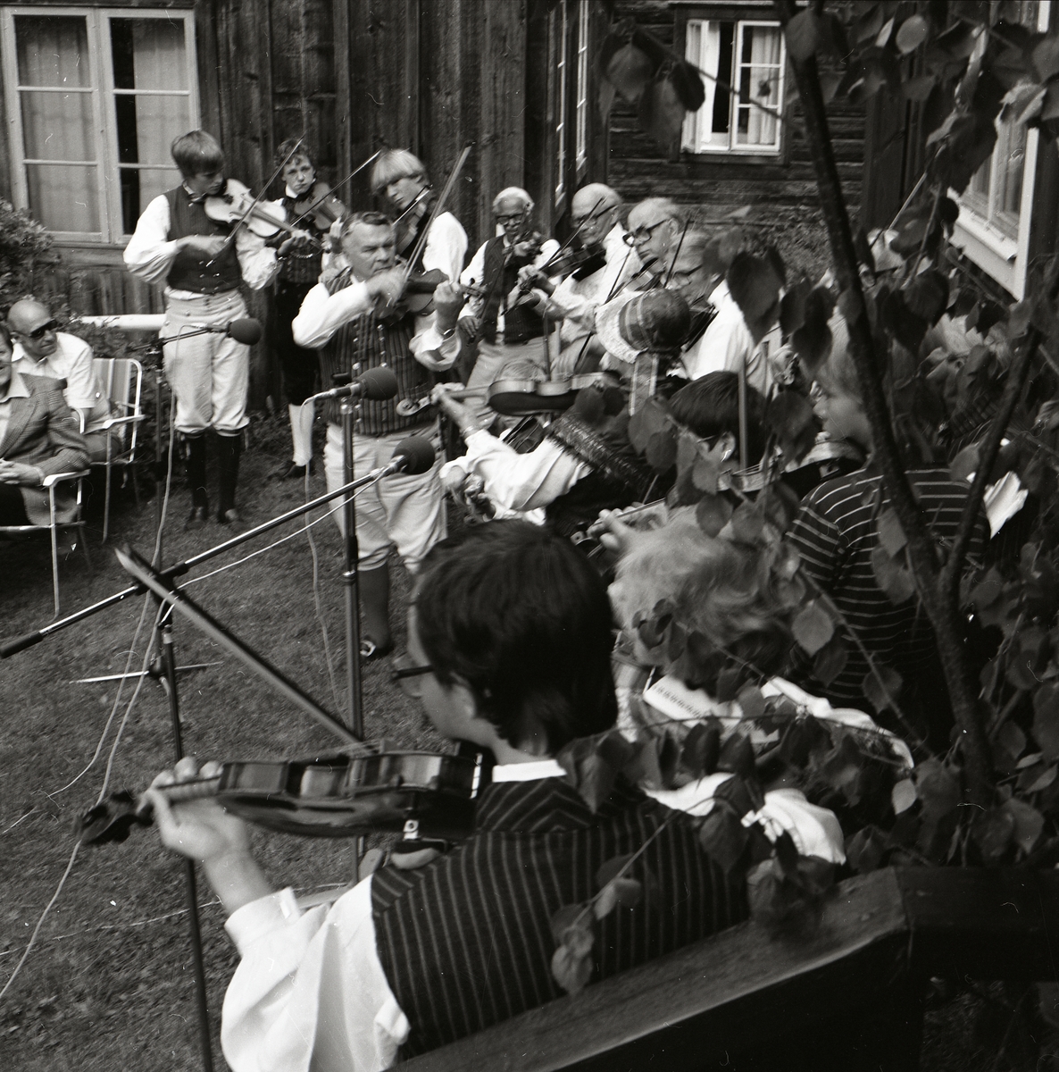 En grupp fiolspelare spelar vid Rengsjöfesten, 18 juli 1982. Fiolspelarna är iklädda folkdräkter.