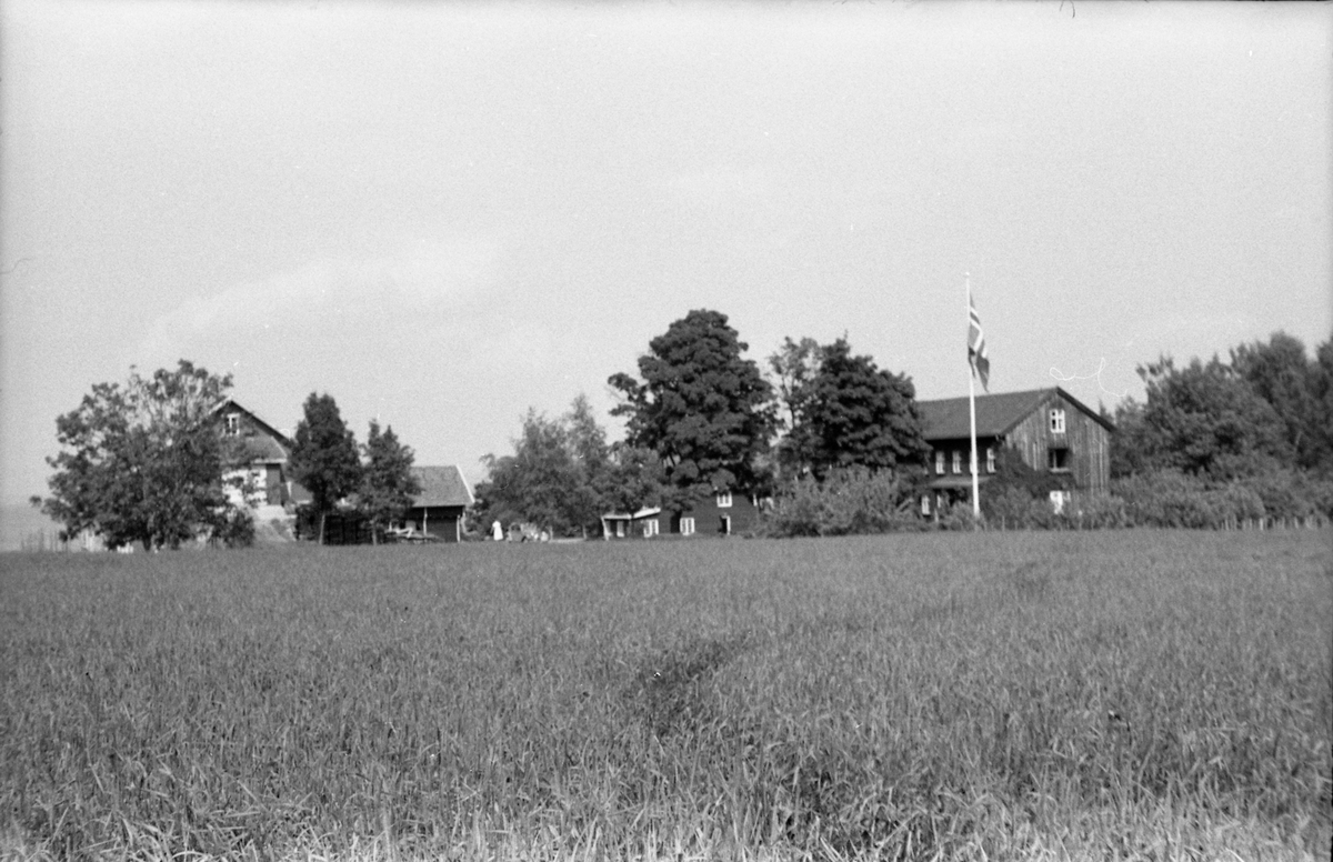 Trogstad nedre i Totenvika juni 1954. Da bildet ble tatt, Trogstad Skole, idag (2018) en del av Solliakollektivet. Serie på åtte bilder der noen er fra hage-/parkområdet rundt bygningene, mens andre er tatt fra avstand.