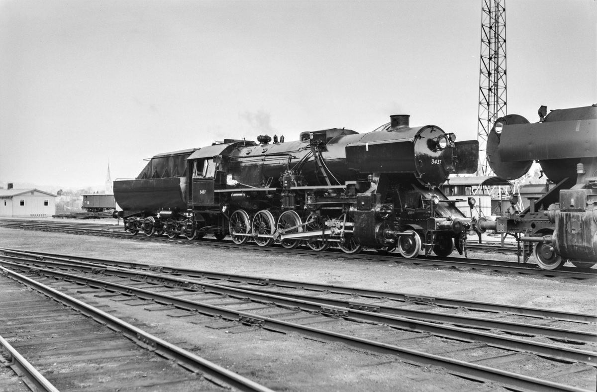 Nymalt og nyrevidert damplokomotiv type 63a nr. 3437 på Marienborg.