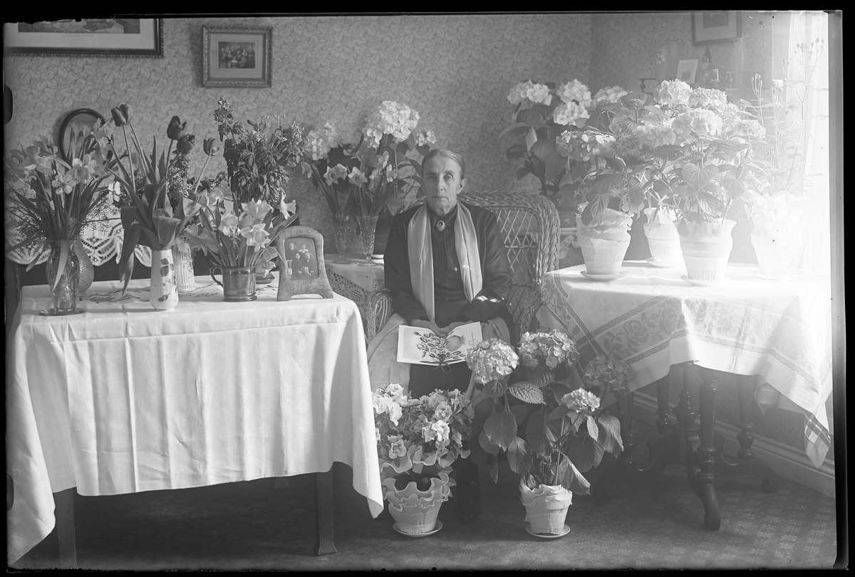 Selma Strömberg fotograferad på sin 70årsdag. Fru Strömberg sitter i en korgstol omgiven av blommor och i handen håller hon telegram.