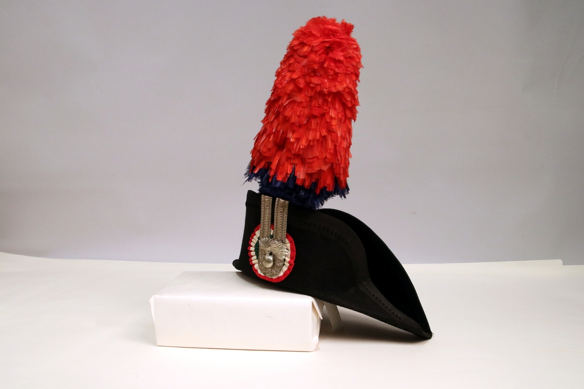 Sort paradehatt med blå og rød fjærdusk. Hatten har et merke i sølv. I bakgrunnen av merke er det en rundt stoffbit fargene i rød, hvit og grønn. 
Offiser paradelue. (Carabinieri)