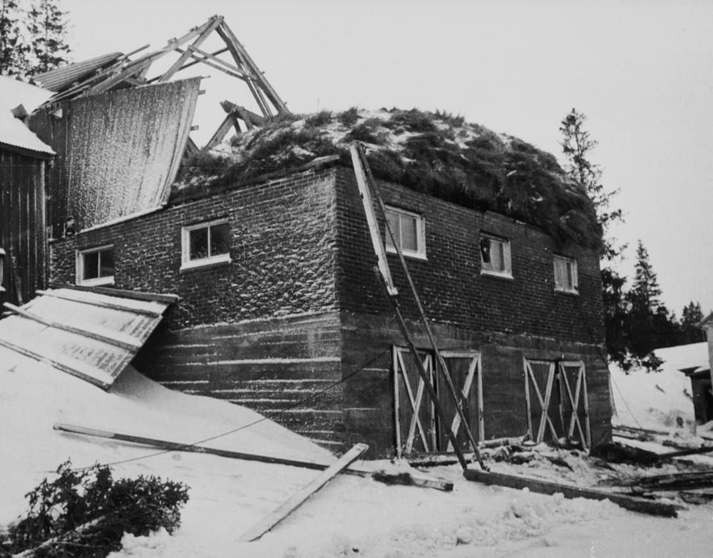 Fjøsbygning rasert av stormen 14.Desember 1975, hos 
Eilif Iversen i Luktvatn.