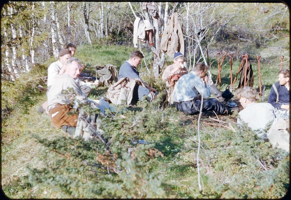 Planting Forslandsdalen 1953