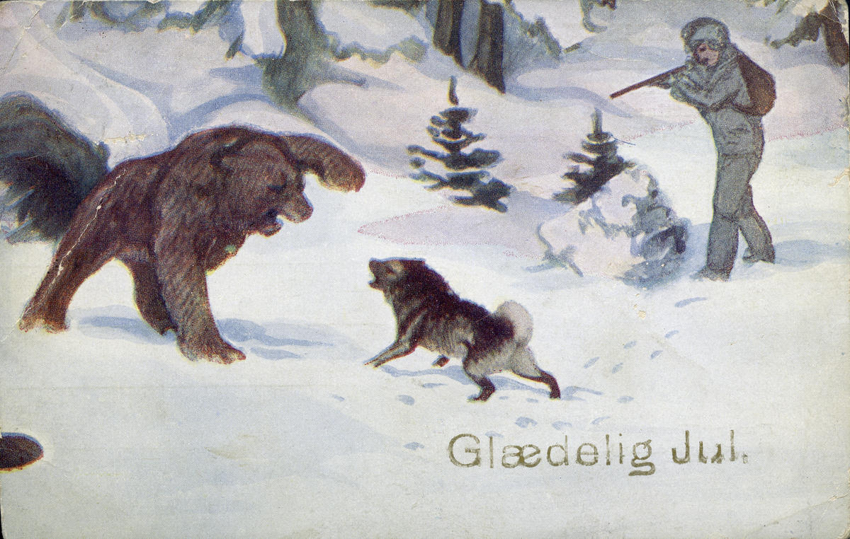 Postkort med bjørnemotiv (Foto/Photo)