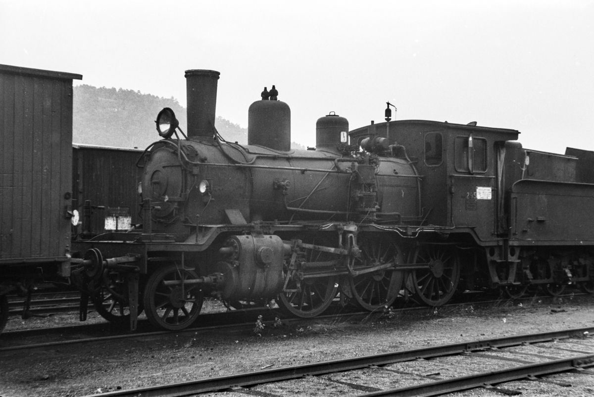 Utrangert damplokomotiv type 21b nr. 295 i Lodalen i Oslo.