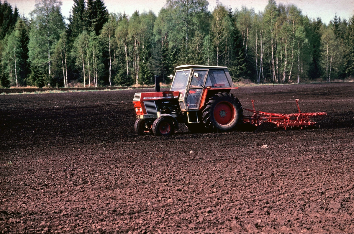 Lantbrukare Bertil Widblad harvar en åker, Mossbo, Tierps socken, Uppland 1981 - 1982