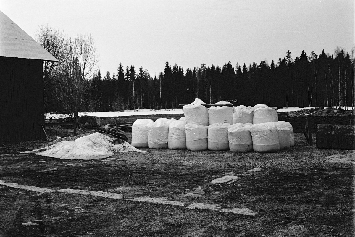 Handelsgödsel i storsäck har inköpts i god tid före vårbruket, Mossbo, Tierps socken, Uppland april 1982