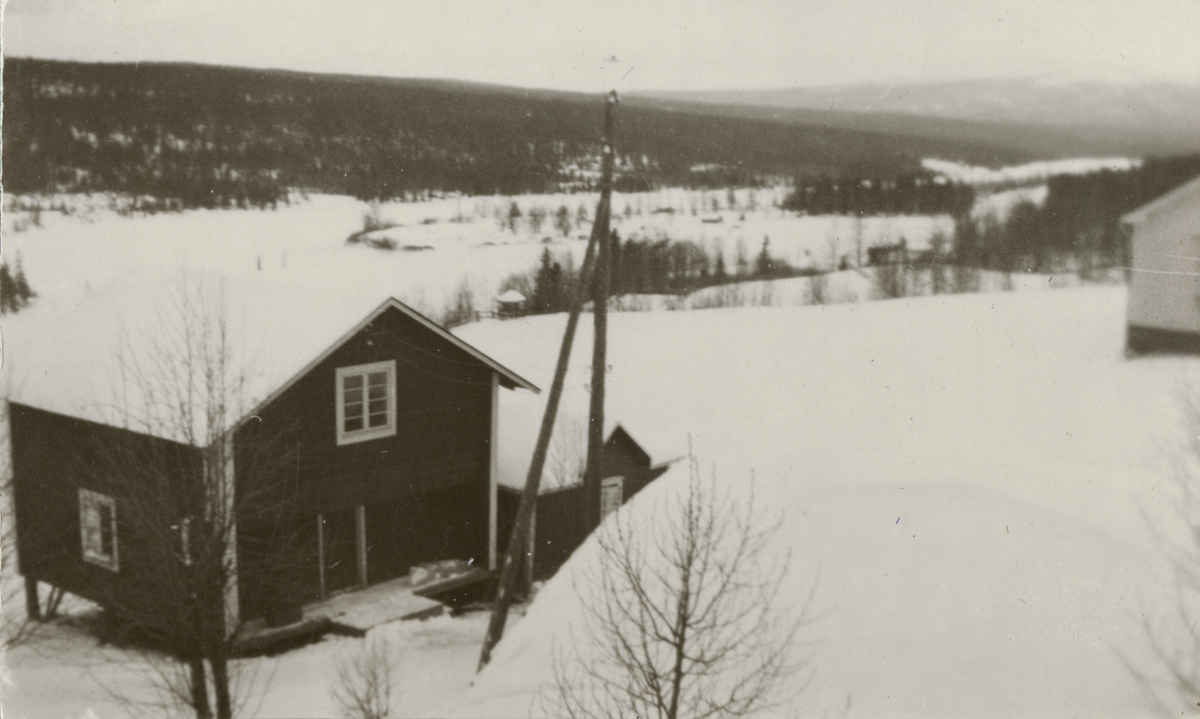 Officersövningar i Hålland 10-18.3.1931. Naturbild.