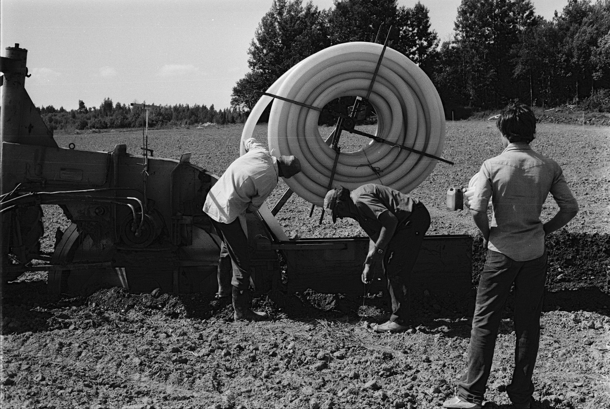 Täckdikning med hjälp av täckdikningsmaskin, Stora Bärsta, Uppsala-Näs socken, Uppland juli 1981