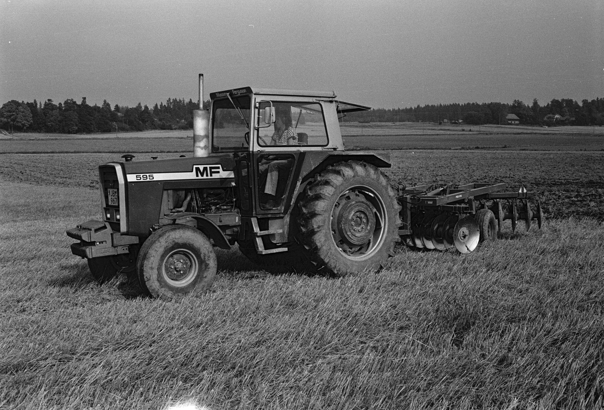 Jordbrukare Kerstin Leijon harvar åkern med en tallriksharv, Stora Bärsta, Uppsala-Näs socken, Uppland september 1981