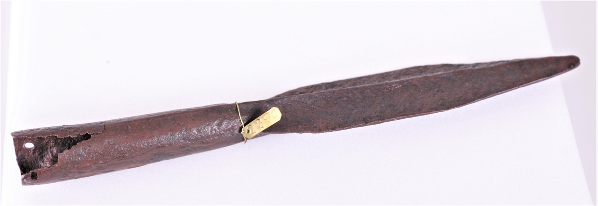 Spydspiss av jern fra jernalderen, funnet i 1820-30-årene.