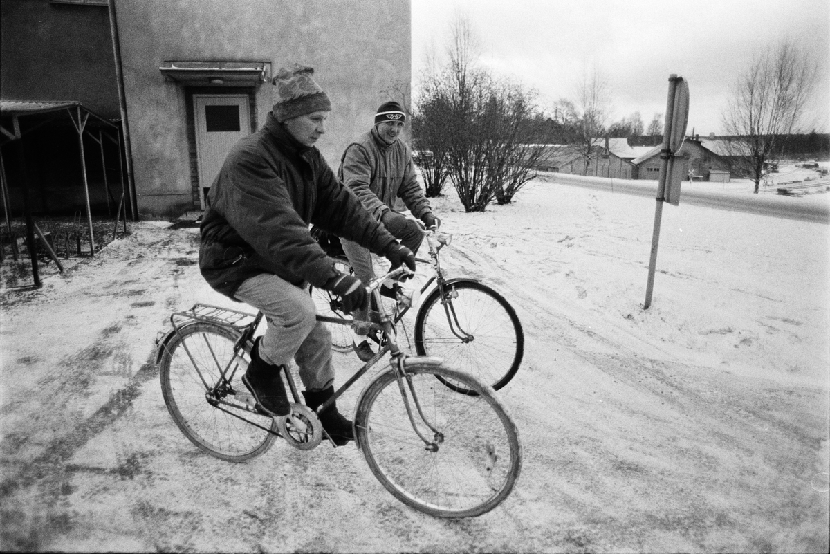 Gruvarbetare på cykel på väg hem efter arbetsdagens slut, utanför gruvstugan,  Dannemora Gruvor AB, Dannemora, Uppland augusti 1991