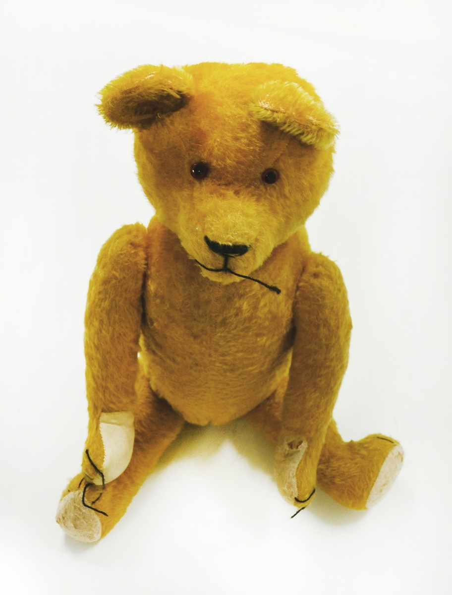 Teddybjørn 

