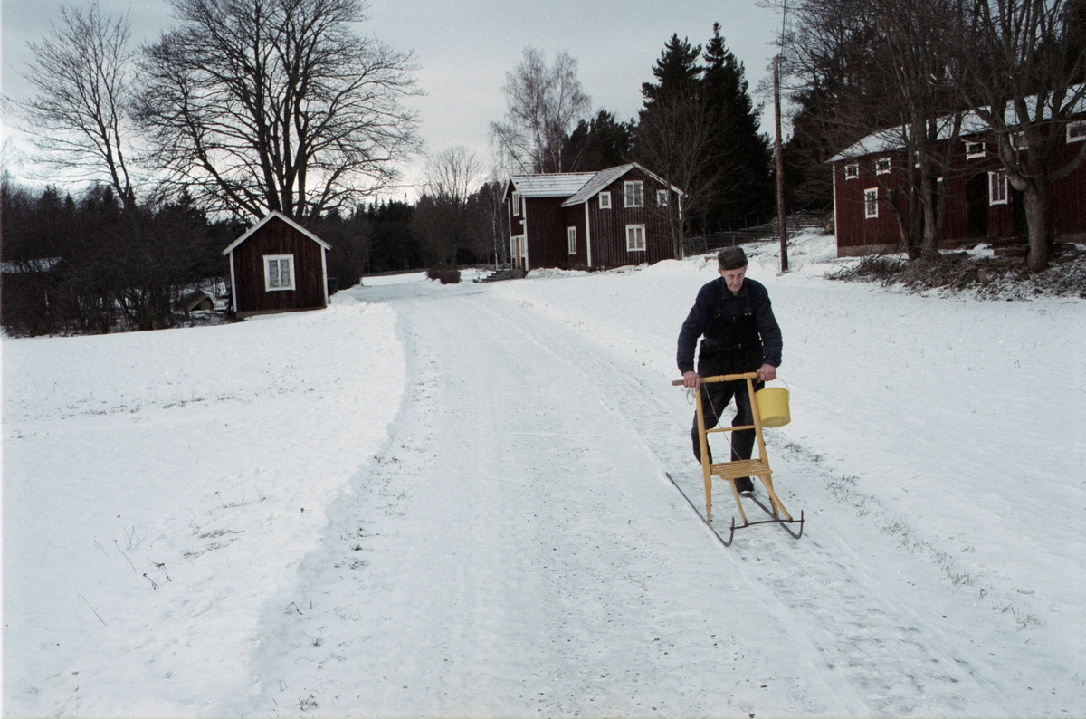 Lantbrukare Arvid Mattsson åker spark, Lönnholmen, Gräsö socken, Uppland 1994 - 1995