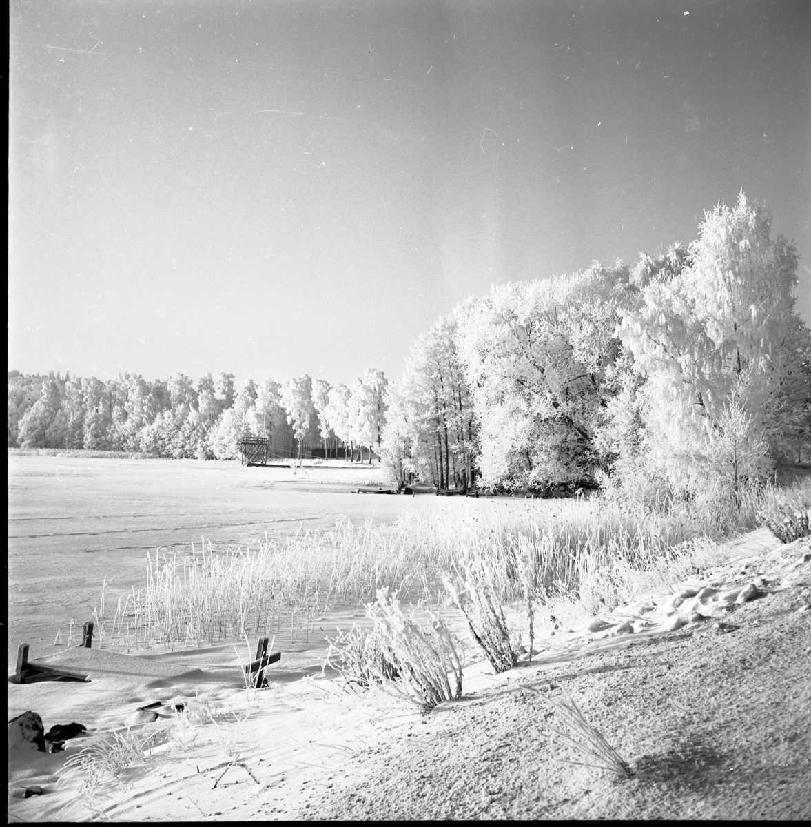 Vinterlandskap. En frusen sjö och snötäckt strand, möjligen sjön Ören vid Bunnström. Längst bort i bild skymtar en badstrand och ett hopptorn.