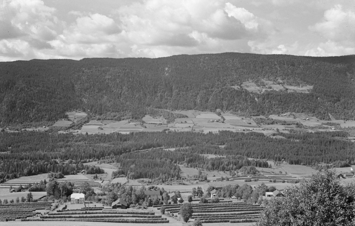 Utsikt fra Øverbygda i Østre Gausdal, gårder med hesjer