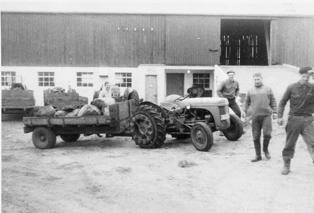 Steinrydding på nybrot med traktorlag på Time øvre våren 1956.