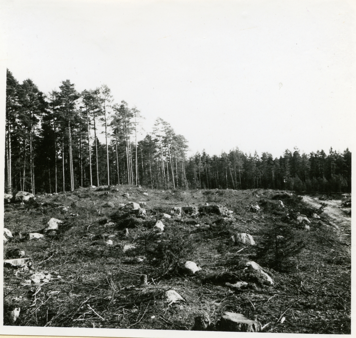 Hubbo sn, Alvesta.
Alvesta 3:1, grav 13 från nordnordväst. 1938.